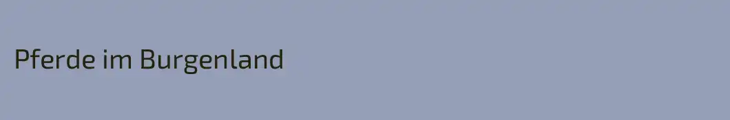 Pferde im Burgenland